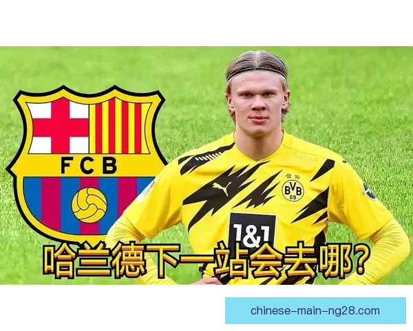 哈兰德对阵西班牙球队意甲赛场高光时刻全面盘点与解析精彩回顾瞬间