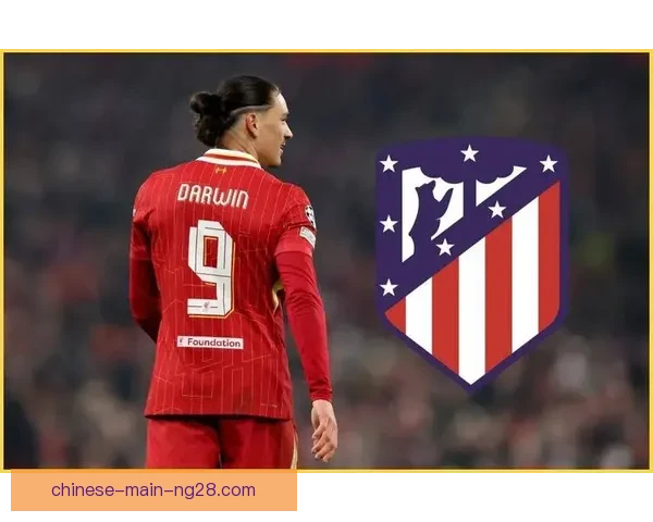 锋线狂飙努涅斯对阵AC米兰的英超高光瞬间全回顾进球与统治力解析